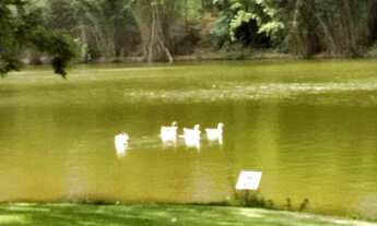 Imagem 5: Terreno à venda, 1720 m² por R$ 750.000,00 - Ville Chamonix - Itatiba/SP