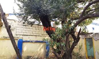 Imagem 3: Terreno no Barro Preto pr?ximo ao F?rum