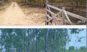 Imagem 2: Oportunidade! Vende-se Fazenda 240 Hectares