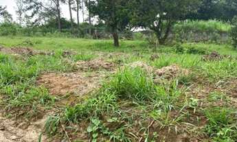 Imagem 6: M12- Saia do Aluguel