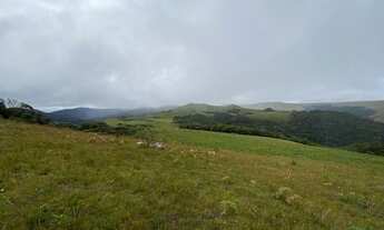 Imagem 5: Área Rural com 166,83ha de área total, para venda. Vacas Gordas, Urubici (SC