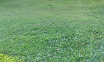 Imagem 2: Terreno à venda, 480 m² por R$ 980.000,00 - Alphaville - Santana de Parnaíba/SP