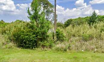 Imagem 3: Área Comercial/Residencial para Venda no Imbuial em Colombo, 70898.28m²