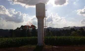 Imagem 2: Oportunidade Sítio Criação Frangos Ibiporã