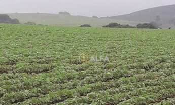 Imagem 2: Fazenda à venda, 105 alqueires por R$ 16.000.000 - Zona Rural Br381 - Careaçu/MG