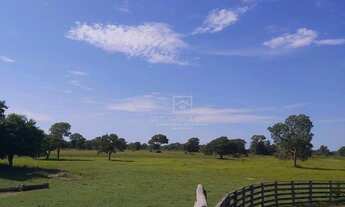Imagem 3: Fazenda Pousada 30 Quartos Cuiabá - MT