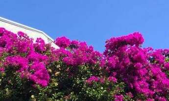 Imagem 2: Chácara com 3 dormitórios à venda, 1000 m² por R$ 950.000,00 - Parque dos Pinheiros - Nova