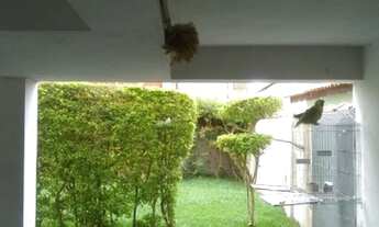 Imagem 5: MAIRINQUE - Casa Padrão - CENTRO