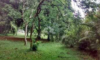 Imagem 4: GRAVATAí - Terreno Padrão - Morungava