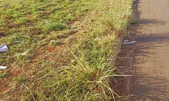 Imagem 6: Lotes Residencial Alice Barbosa