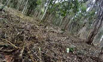 Imagem 4: Área para venda na Granja Urupes