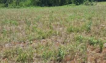 Imagem 3: Chácara próxima do aeroporto