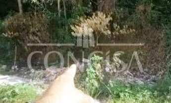 Imagem: TERRENO A VENDA NO BAIRRO ILHOTA - ITAPEMA