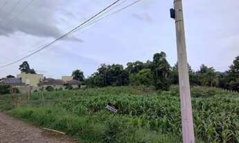 Imagem 5: Terreno em Dois Irmãos - bairro Beira Rio REF: 210480
