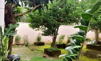 Imagem: CASA BARRACOES-TRINDADE