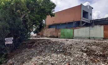 Imagem 6: CAXIAS DO SUL - Terreno Padrão - FÁTIMA