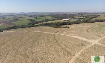 Imagem 5: Ótima fazenda a venda próxima a Rodovia Castelo Branco em Porto Feliz