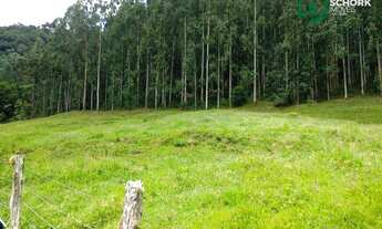 Imagem: Sítio à venda, 264.666 m² por R$ 220.000