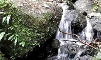 Imagem 6: Lote/Terreno para venda tem 24200 metros quadrados