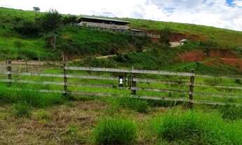 Imagem 2: Vende-se Chácara de Fácil acesso em Rio Pomba !!!