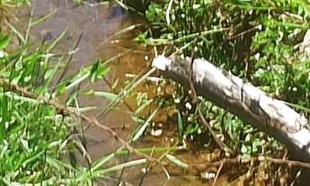 Imagem 3: Terreno em sp -1.000m² 2km do asfalto - prox a fernão dias