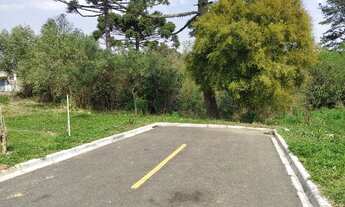 Imagem 4: Terreno - Pilarzinho