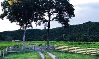 Imagem: Fazenda na beira da BR 150km de Cuiabá