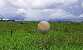 Imagem 6: Fazenda à venda, 340 alqueires por R$ 50.000.000 - Padre Bernardo/GO