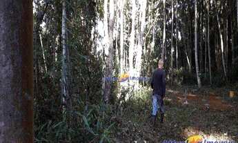 Imagem 3: Terreno à venda, 4335 m² por R$ 190.000,00 - Quebra Frascos - Teresópolis/RJ