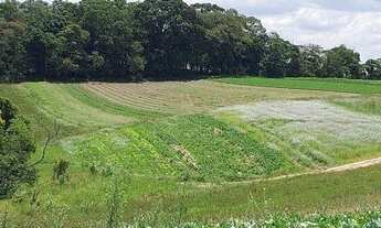 Imagem 2: Lote/Terreno para venda em Cachoeira - Cotia - SP