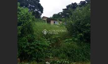 Imagem 1: PORTO ALEGRE - Terreno Padrão - Vila Jardim