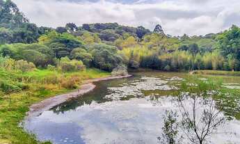 Imagem 6: Vendas Área Colombo PR