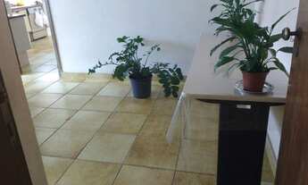 Imagem 2: Santa Cruz - Mogi Mirim - SP