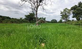 Imagem 7: Fazenda à venda no município de Nossa Senhora do Livramento-MT