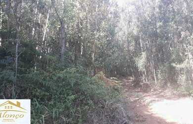 Imagem 3: Área de terra em Nova Petrópolis , bairro Nova Harmonia Ref.:791