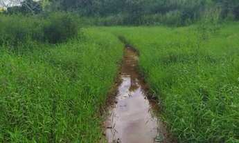 Imagem 3: Sitio zona rural igarassu,4 hectares