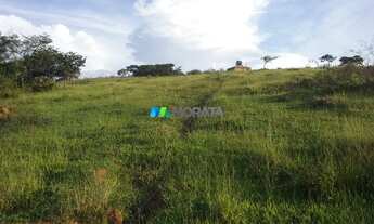 Imagem 4: OLIVEIRA - Fazenda - Zona Rural