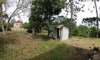 Imagem 7: Chácara para Venda em Ponta Grossa, Guaragi, 1 dormitório, 1 banheiro