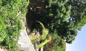 Imagem: Lote/Terreno para venda possui 360 metros