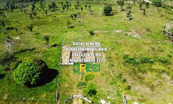 Imagem: 23.6 Alqueires Machadinho-RO