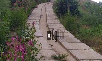 Imagem 3: Vende-se Chácara de Fácil acesso em Rio Pomba !!!