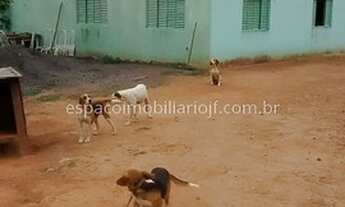 Imagem 3: Ótimo Sitio em Coronel Pacheco