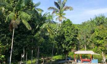 Imagem 6: Vendo 150 Mil Sítio na Am 010 Km 35 Ramal Água Branca 2(+9 km