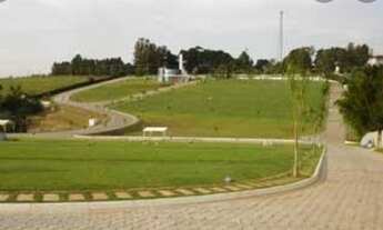 Imagem 2: Vendo jazigo no cemitério Memorial Park