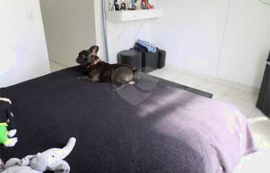 Imagem 5: Rio de Janeiro - Casa Padrão - Méier