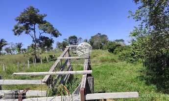 Imagem 5: Alto Paraíso - Sítio - 23 Alqueires Alto Paraiso