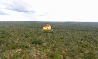Imagem 5: Fazenda para Venda em Luzinópolis, Vale do Araguaia