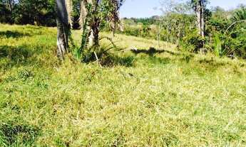 Imagem 5: Excelente fazenda com carvoaria em Presidente Olegário-MG contendo 310 hectares ou seja