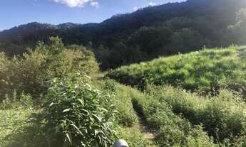 Imagem 3: Lote/Terreno para venda possui 8500 metros quadrados em Araponguinhas - Timbó - SC