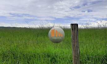 Imagem 4: Fazenda à venda, 340 alqueires por R$ 50.000.000 - Padre Bernardo/GO